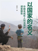 以国家的名义:中国未成年人保护调查报告 以国家的名义:中国未成年人保护调查报告