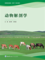 动物解剖学