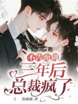 不告而别，三年后总裁疯了