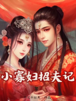 小寡妇招夫记