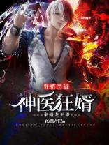 赘婿当道：神医狂婿-豪婿龙王殿