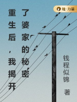 重生后，我揭开了婆家的秘密