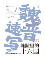 魏晋速写2：缝隙里的十六国