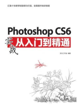 Photoshop CS6实战从入门到精通（超值版）