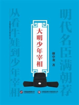 大明少年宰相