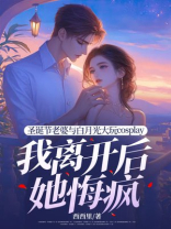 圣诞节老婆与白月光大玩cosplay，我离开后她悔疯-3