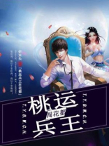 桃运兵王闯花都