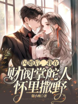 闪婚后，我在财阀掌舵人怀里撒野