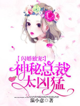 闪婚独宠：神秘总裁太凶猛