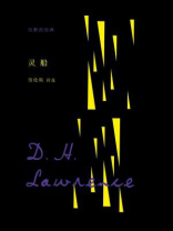 沉默的经典：灵船