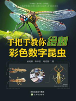 手把手教你绘制彩色数字昆虫