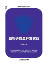 白帽子安全开发实战