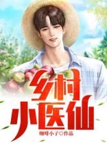 乡村桃运小医仙