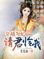 穿越为妃请君怜我（完）