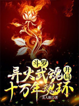 斗罗：异火武魂，开局十万年魂环