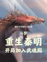 斗罗：重生秦明，开局加入武魂殿