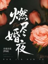 燃尽婚夜