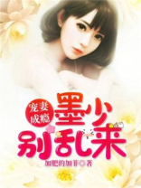 宠妻成瘾：墨少别乱来