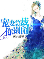 宠妻总裁你别闹