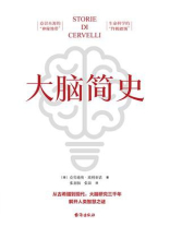 大脑简史