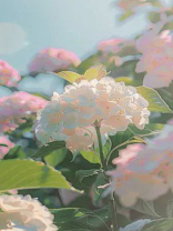 全科医学科主任老公给我开错处方后，他悔疯了