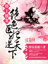 绝色医妃逆天下