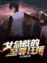 女总裁的至尊狂婿