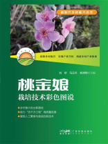 桃金娘栽培技术彩色图说（新时代乡村振兴丛书）