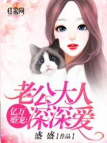 亿万婚宠：老公大人深深爱
