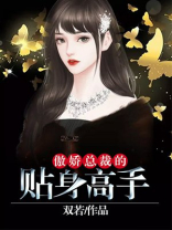 傲娇总裁的贴身高手