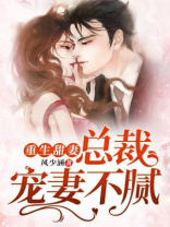 重生甜妻：总裁宠妻不腻