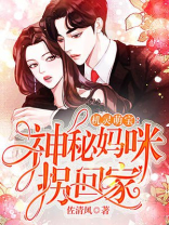 机灵萌宝：神秘妈咪，拐回家！