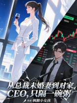 从总裁未婚妻到对家 CEO，只隔一碗粥