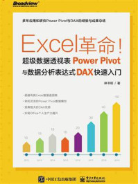 Excel革命！超级数据透视表Power Pivot与数据分析表达式DAX快速入门