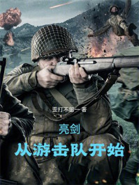 亮剑，从游击队开始