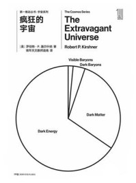 第一推动丛书·宇宙系列：疯狂的宇宙