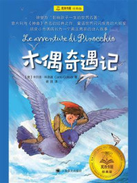 木偶奇遇记
