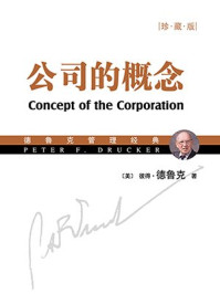 公司的概念(珍藏版)