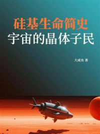 硅基生命简史:宇宙的晶体子民