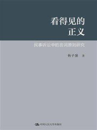 看得见的正义——民事诉讼中的言词原则研究