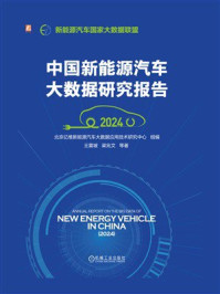 中国新能源汽车大数据研究报告（2024）