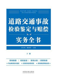 道路交通事故检验鉴定与赔偿实务全书(下册)