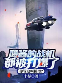 鹰酱的战机都被打爆了，你管这叫模型？