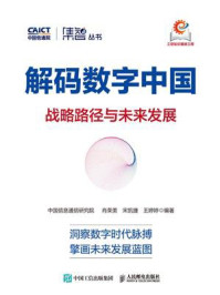 解码数字中国：战略路径与未来发展