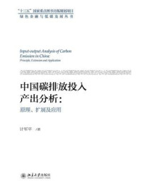 中国碳排放投入产出分析：原理、扩展及应用