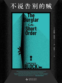 不说告别的贼