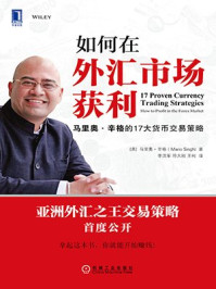 如何在外汇市场获利:马里奥·辛格的17大货币交易策略
