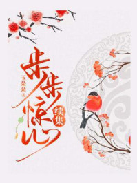 步步惊心续集