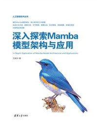 深入探索Mamba模型架构与应用