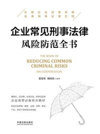 企业常见刑事法律风险防范全书